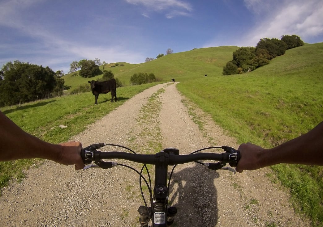 A Quick & Dirty Guide to the Best Biking in East Bay