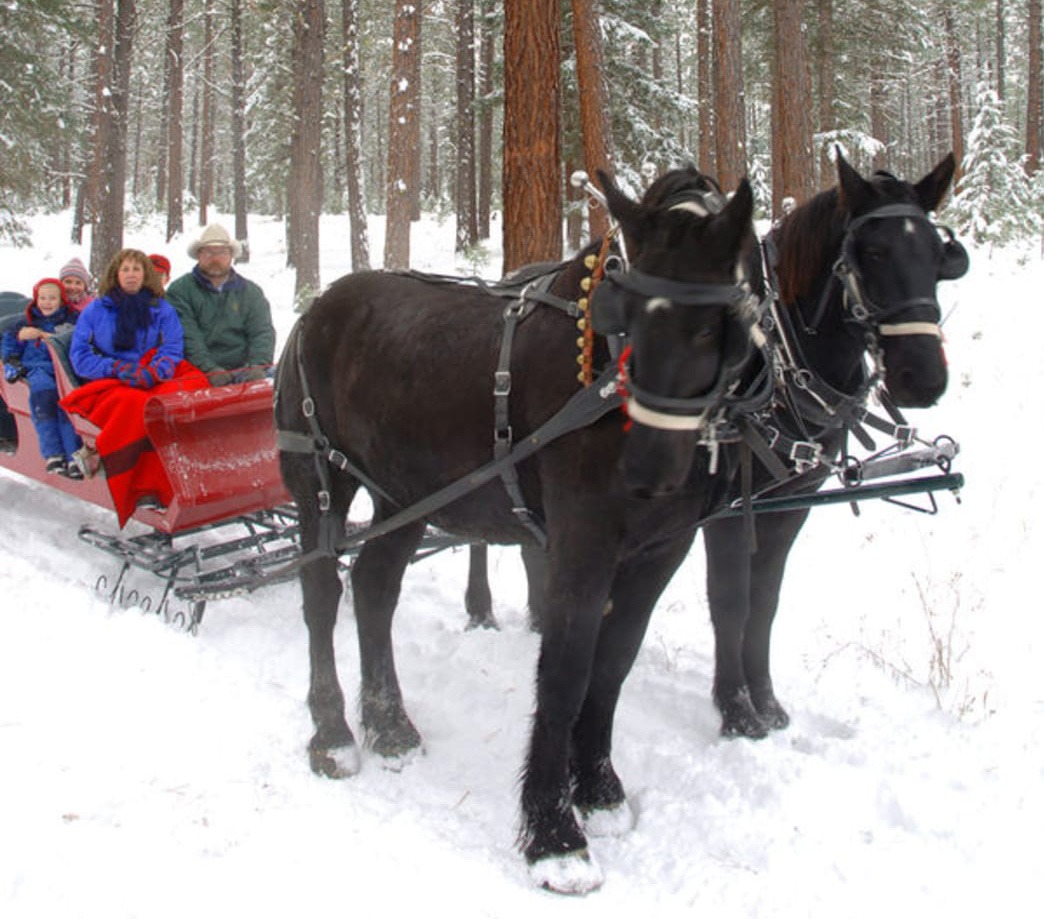 A sleigh ride through winter at Paws Up Resort Montana